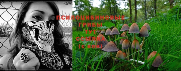 дурь Щигры