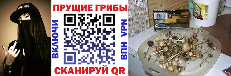 даркнет сайт  Остров  Псилоцибиновые грибы мухоморы 